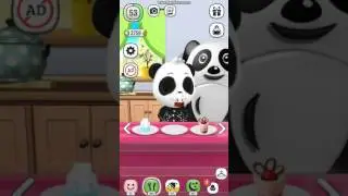 My talking panda
