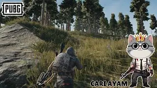 MINGGU CERIA NYARI AYAM DI PUBG INDONESIA #kingrays2
