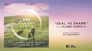 Planet Earth III - Seal vs Shark (Official Audio)