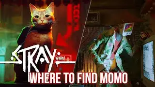 Stray - Where to Find Momo