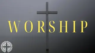 Wholeheartedness | Jamie Long