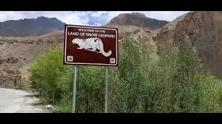welcome of da lion of lipard#viralvideo