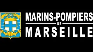 Intervention BMPM Feux d'arbre