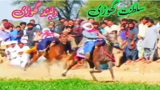 two female horse race with competition#horse name dillband vs sultanat horse#winner horse sultanat