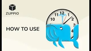 Zuppio: How to use || SF managed package upgrade: how to deploy picklist values to subscriber orgs
