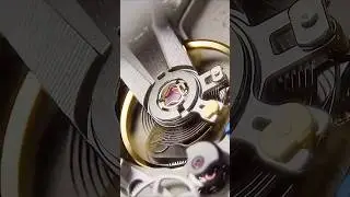 Getting Up Close: The 360&deg; Microscope