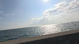夏の海さよなら 202508