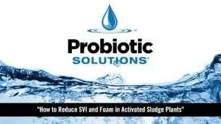 Reducing SVI & Foam in Activated Sludge Plants
