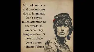The Silent Language of Love: Shams Tabrez's Profound Wisdom