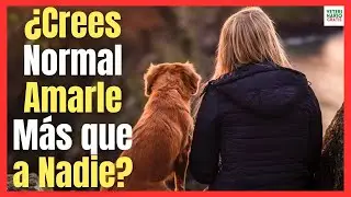 💖 &iquest;PORQUE AMO A MI PERRO M&Aacute;S QUE A NADIE? 💖
