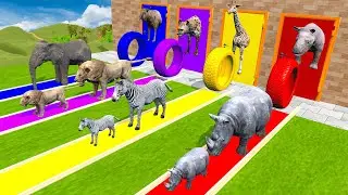 Choose The Right Door With Tire And Win With Elephant, Cow, Lion, Gorilla, Duck Wild Animals 2024
