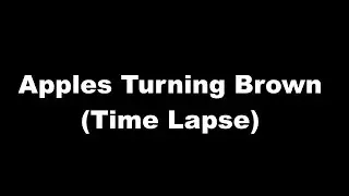 Apples Turning Brown (Time Lapse)