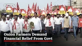 Thousands Of Farmers March To Mumbai, Seek Relief For Onion Growers