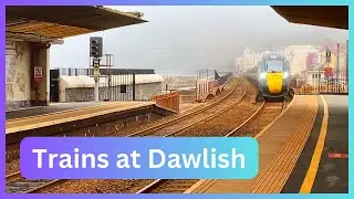Trains at Dawlish (11/08/24)