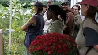 Rooftop Garden Tour  - Urban Agriculture Week