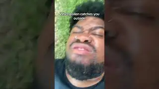 Pollen be running fades