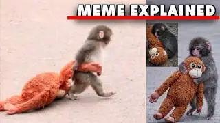 How Punch the Monkey Took Over the Internet