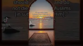 🍃 remain steadfast in Islam, persevere in obedience, and guard your faith #islam #allah