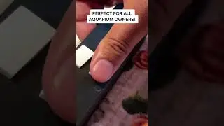 3d Printed Fish Tank Tool Holder!!!
