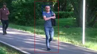 Demonstration of the intelligent video surveillance of the Picard robot