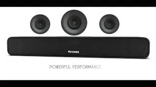 Pure Sound Pro BT 2 Portable Sound System