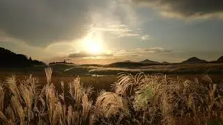 曽爾高原【今年最後の上映会を11月12日に開催します】