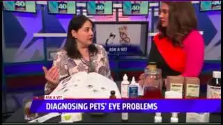 Diagnosing Pets Eye Problems - Ask a Vet with Dr. Jyl