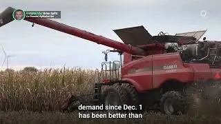 USDA Report Has Grain Markets Concerned | Presented by CME Group