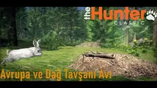 The Hunter Classic Türkçe | Avrupa Tavşanı - Dağ Tavşanı Avı