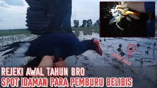 MANTAPP!! MENJARING BELIBIS DI AWAL TAHUN DAPAT BONUS MANDAR BIRU || JARING BURUNG SAWAH EPS-4