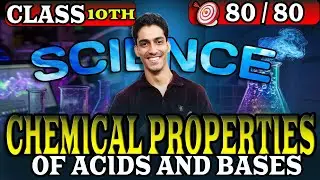 Chemical Properties of Acids and Bases | Acids Bases and Salts | Class 10 Chemistry | Science | Exam