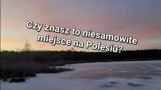 Zima w Poleskim PN. Spacer z psem. #travel #nature #winter #doglife #beagle #polesie #poland 