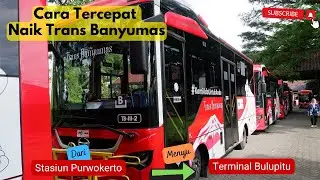 Cara Tercepat Naik Trans Banyumas dari Stasiun Purwokerto Buat Oper Bus Keluar Kota