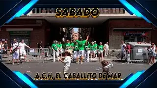 A.C.H EL CABALLITO DE MAR - COROS DE LA BARCELONETA 2025 - SABADO