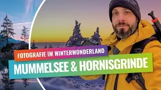 Winterwolderland auf der Hornisgrinde im Schwarzwald ❄️ Ausflugsziel mit besten Spots für Fotografie