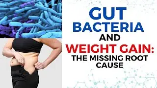 Gut Bacteria & Weight Loss: The Missing Root Cause