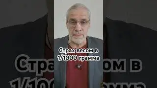Страх весом в 1/1000 грамма #история #точносказано #history #комар #факты #красивосказано #скрытые