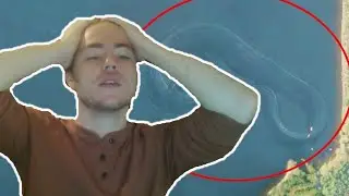 Fish Biologist reacts to 