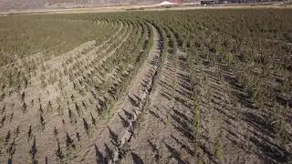 Farm in Medford