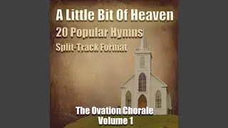 Devil's in the Phone Booth (Split-Track Format)