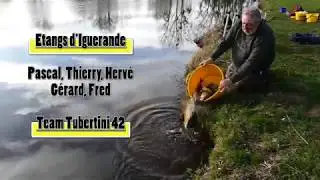 Etangs Iguerande 23 janvier 2018