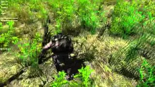 Aftermoon: Campfires regenerate health and stamina