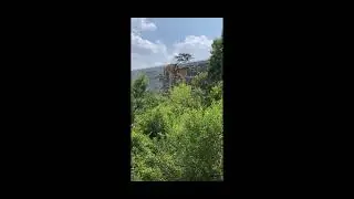 BNSF 5030 Thru Oak Ridge TX (Filmed: 6/2/23)