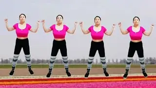 Aerobics exercise, to lose weight, reduce belly fat, slim waist/workout dance fit