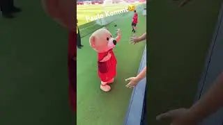 Paule Heidenheim Maskottchen kommt!😎