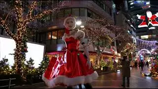 Contemporary Jazz Holiday   コンテンポラリージャズホリデー