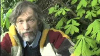 Open Pollinated Seeds and F1 Hybrids - Seed Sovereignty & Food Security