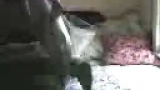 frogs gone wild 1