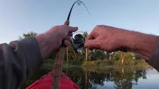 Live Target froggin!   Large mouth bass fishing with a Live Target top water frog! Kawartha Lakes.
