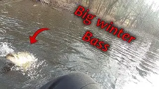 Winter bass fishing - Willamette slough